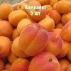 Комплект 5шт / Абрикос Снежинский: фото и описание